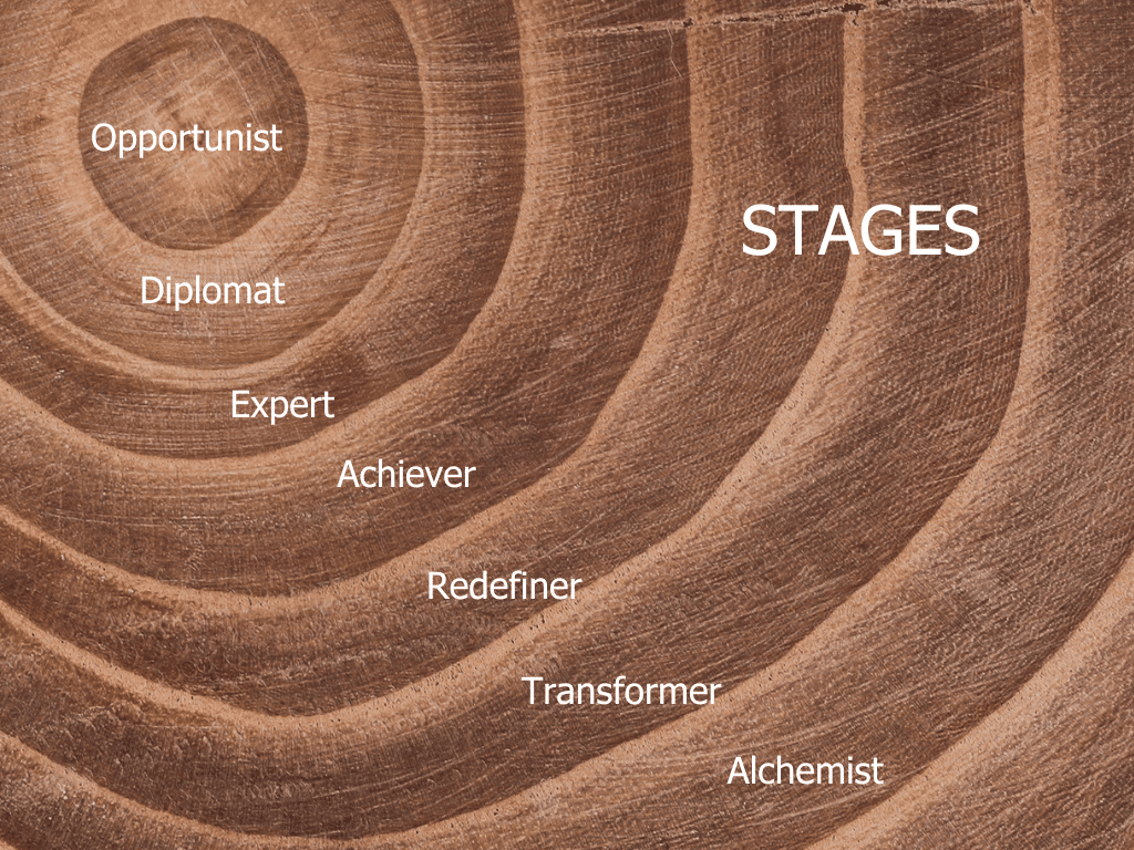 Vertical Leadership Development stages