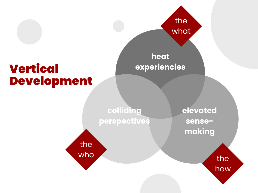 The three conditions of Vertical Development Maiten Panella